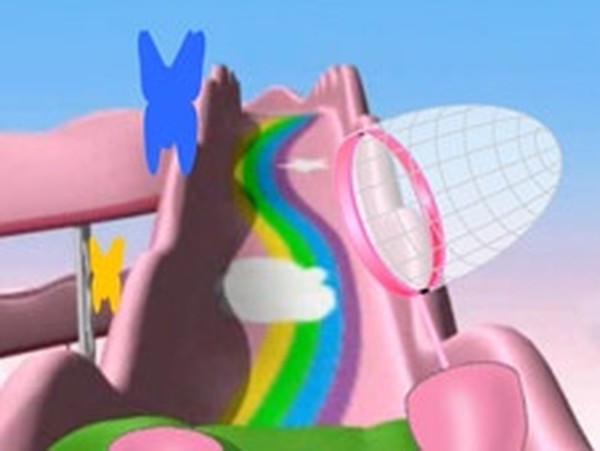 Rainbow Wishes Rollercoaster Arcade Game
