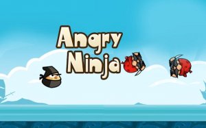 Angry Ninja: Pirate Showdown Online Game