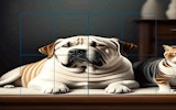 Picture Sliding Challenge: Pets