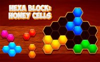 Hexagon Puzzle Challenge