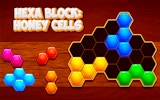 Hexagon Puzzle Blocks